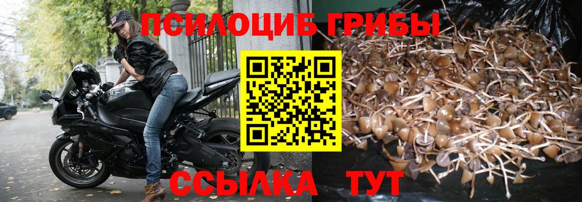 Галлюциногенные грибы Magic Shrooms Сегежа