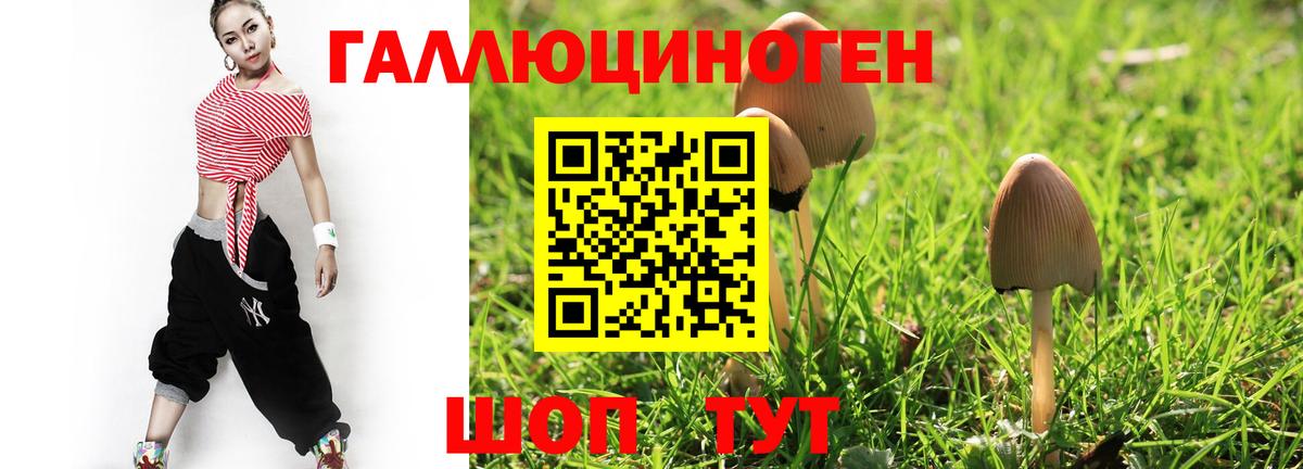 Сегежа  Псилоцибиновые грибы Magic Shrooms  Галлюциногенные грибы мухоморы  Вход с VPN 