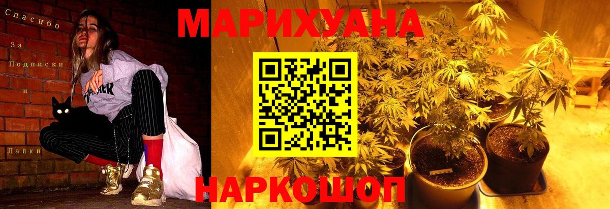 Бошки марихуана тримм  Бошки марихуана тримм  Сегежа  Вход с VPN  Каннабис White Widow 